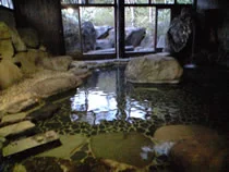 ryugon（旧温泉御宿　龍言）