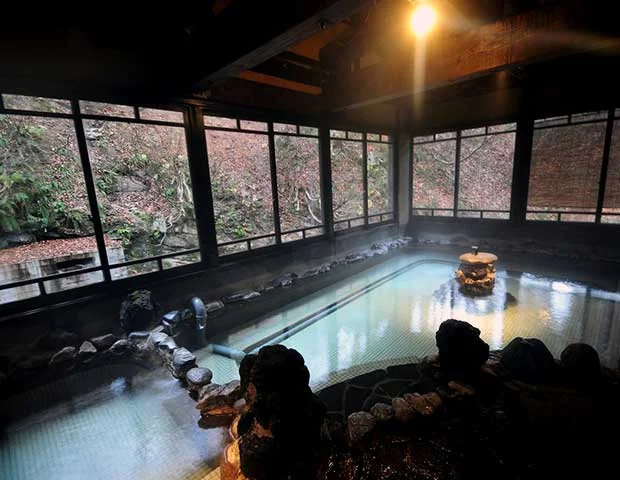 栃尾又温泉 自在館