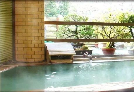 折立温泉 ホテルさかえや - 新潟県