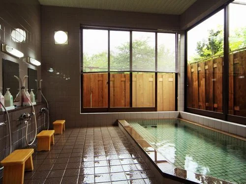 Koase Onsen Bunanoyado Koa-se - Niigata