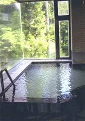 池の平温泉 池の平 ホテルセゾン - 新潟県