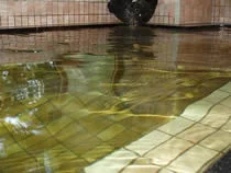 宮野原温泉 宝山荘（閉館しました）