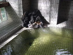 宮野原温泉 宝山荘（閉館しました）