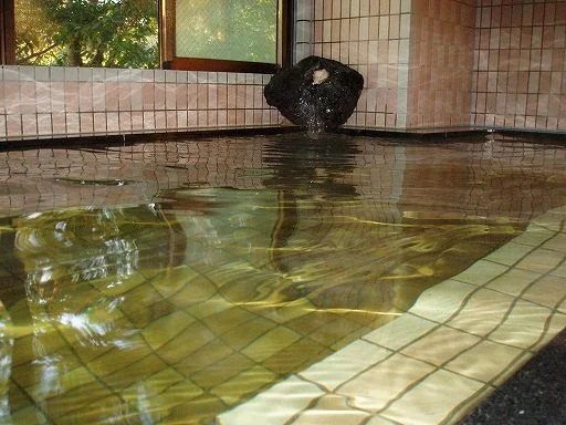 宮野原温泉 宝山荘（閉館しました）