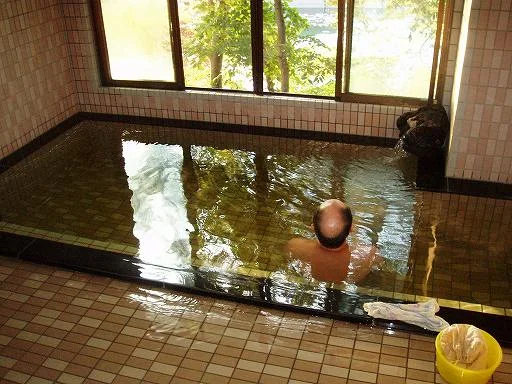 宮野原温泉 宝山荘（閉館しました）