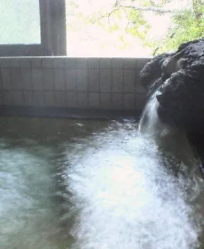 宮野原温泉 宝山荘（閉館しました）