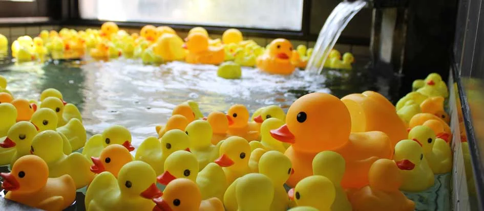 トップメイン画像4