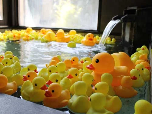 フォトアルバム4