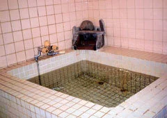 Echigo Yuzawa Onsen Kawamura - Niigata