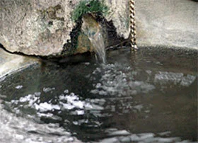 スターホテル 赤倉 - 新潟県