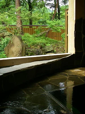 越後田中温泉 しなの荘