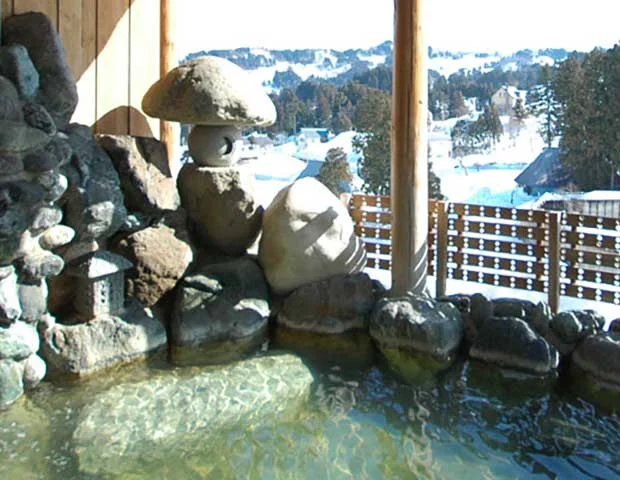 ゆきだるま温泉 雪の湯（閉館しました）