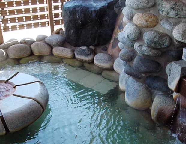 ゆきだるま温泉 雪の湯（閉館しました）