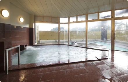 Iwamuro Onsen Menmentei Wataya - Niigata