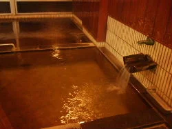 松ヶ峯温泉 ひばり荘