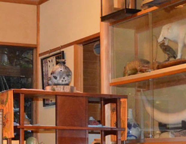 珍生館