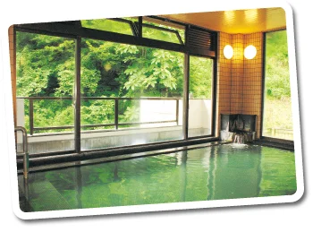 松之山温泉センター 鷹の湯