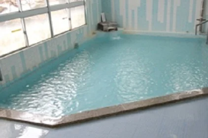 Rokujomachi Mountain House - Niigata