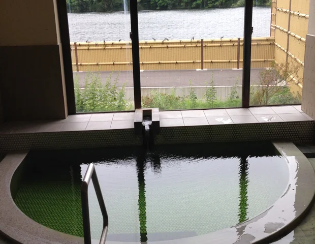 いろりの宿 ホテル 平左ェ門（閉館しました）