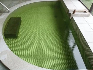 いろりの宿 ホテル 平左ェ門（閉館しました）