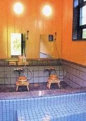 民宿 樹湖里 - 奥只見 - 新潟県