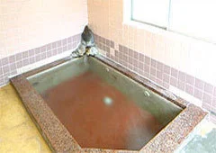 御宿 銀明荘 - 新潟県