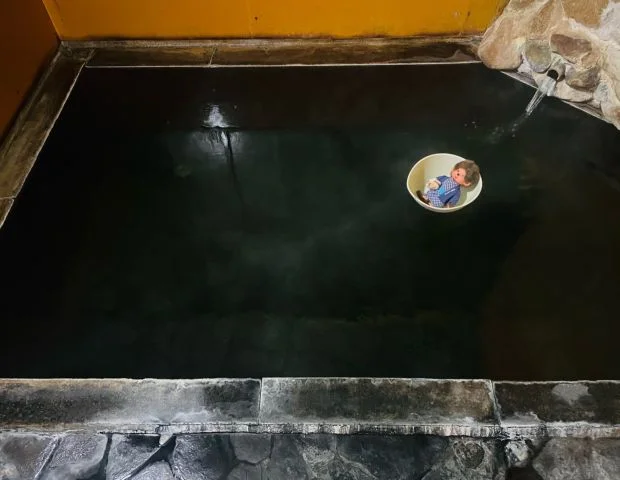 ゲストハウスたいよう（旧月岡温泉 ホテル太洋）(閉館しました)