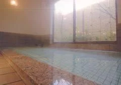 Muramatsu Onsen Ryokan, Muromachi - Niigata