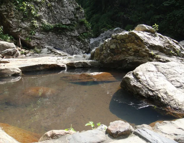 湯の平温泉 - 新潟県
