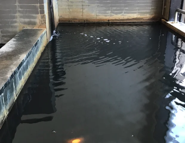 塩の湯温泉 ふれあい館・サンセット中条