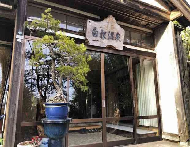 白根温泉 関根旅館（閉館しました）