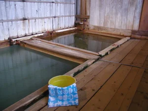 植木屋旅館(閉館しました)