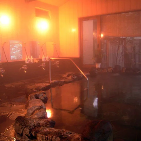 湯田上温泉　なつかしの宿　末廣館 - 新潟県