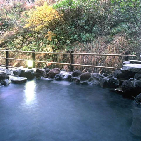 松之山温泉　玉城屋旅館 - 新潟県