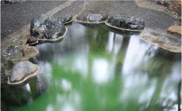 割烹の宿いま井　五十嵐邸　結