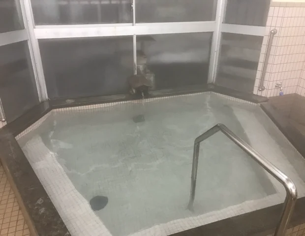 妙高温泉・共同浴場 大湯