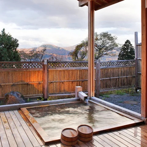 Akakura Onsen Ryokan Seifu-so - Niigata