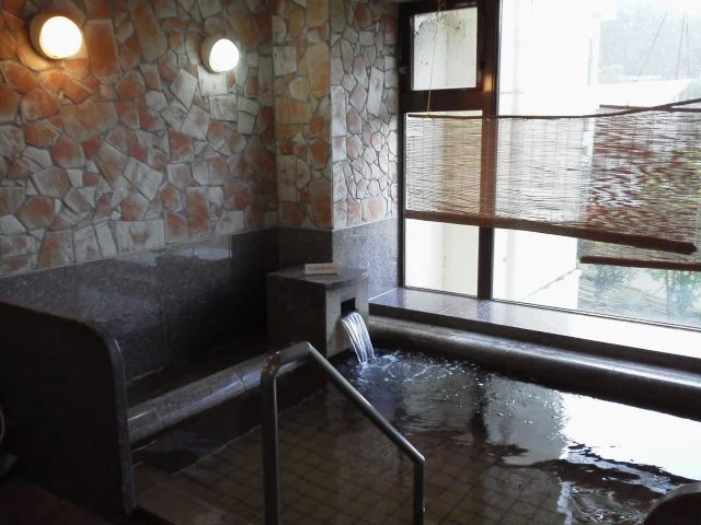 守門温泉 青雲館 - 新潟県