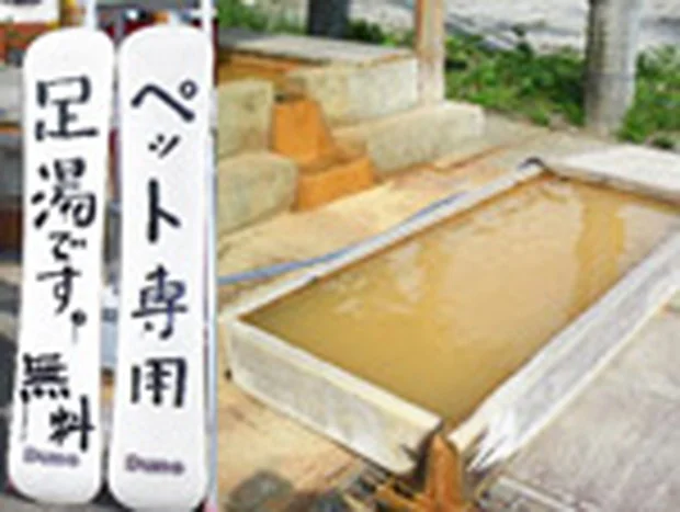 雪ささの湯