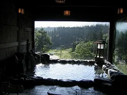 大沢山温泉 大沢舘