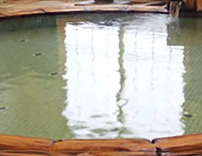 かくれ里 清流荘