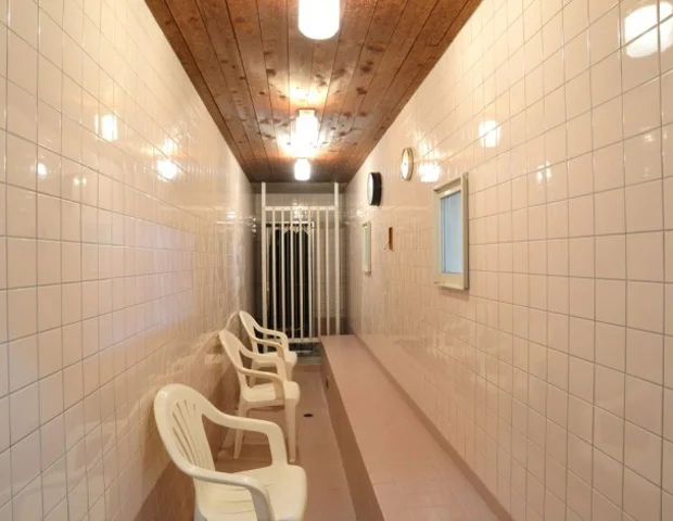 金の湯（かねのゆ）＜新潟＞