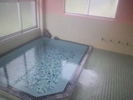 折立温泉　湯元大鼻旅館（閉館しました）