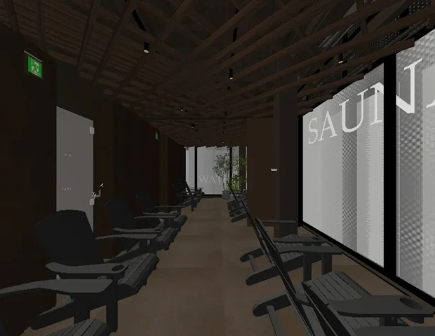 sauna 100