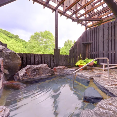 Rokujomachi Onsen Irorian - Niigata