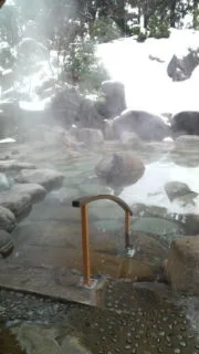 風雅の宿 長生館