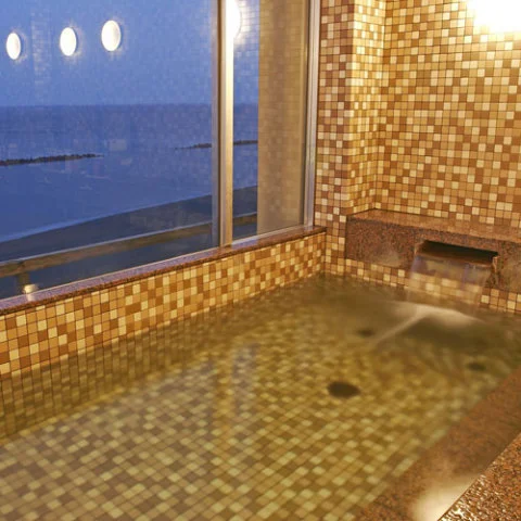 湯元館 酔洋 - 新潟県