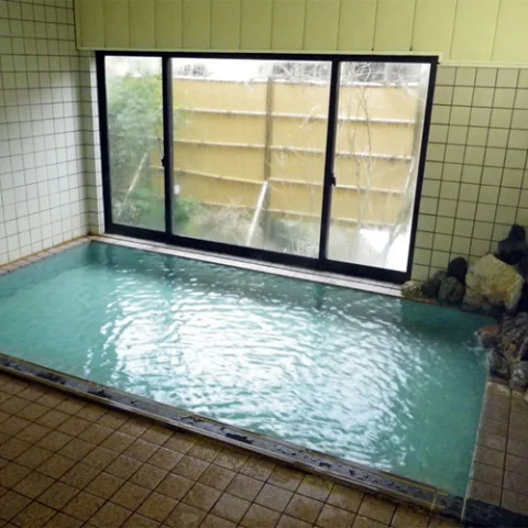 Mikawa Onsen Shinkaiso - Niigata