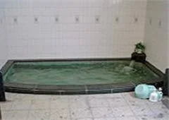 Mikuni-toge Onsen Azumaya Lodge - Niigata