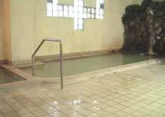 Akakura Onsen Akakura Wakui Hotel - Niigata